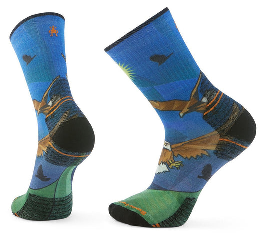 Pair of socks with eagle and sun designs.