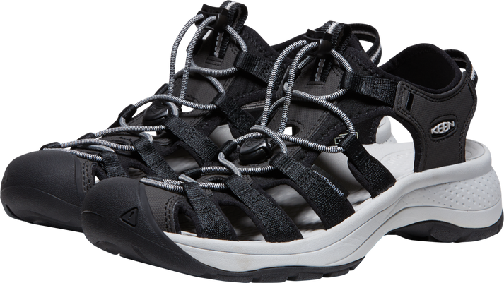 Enlarge ${media.preview_image.alt}