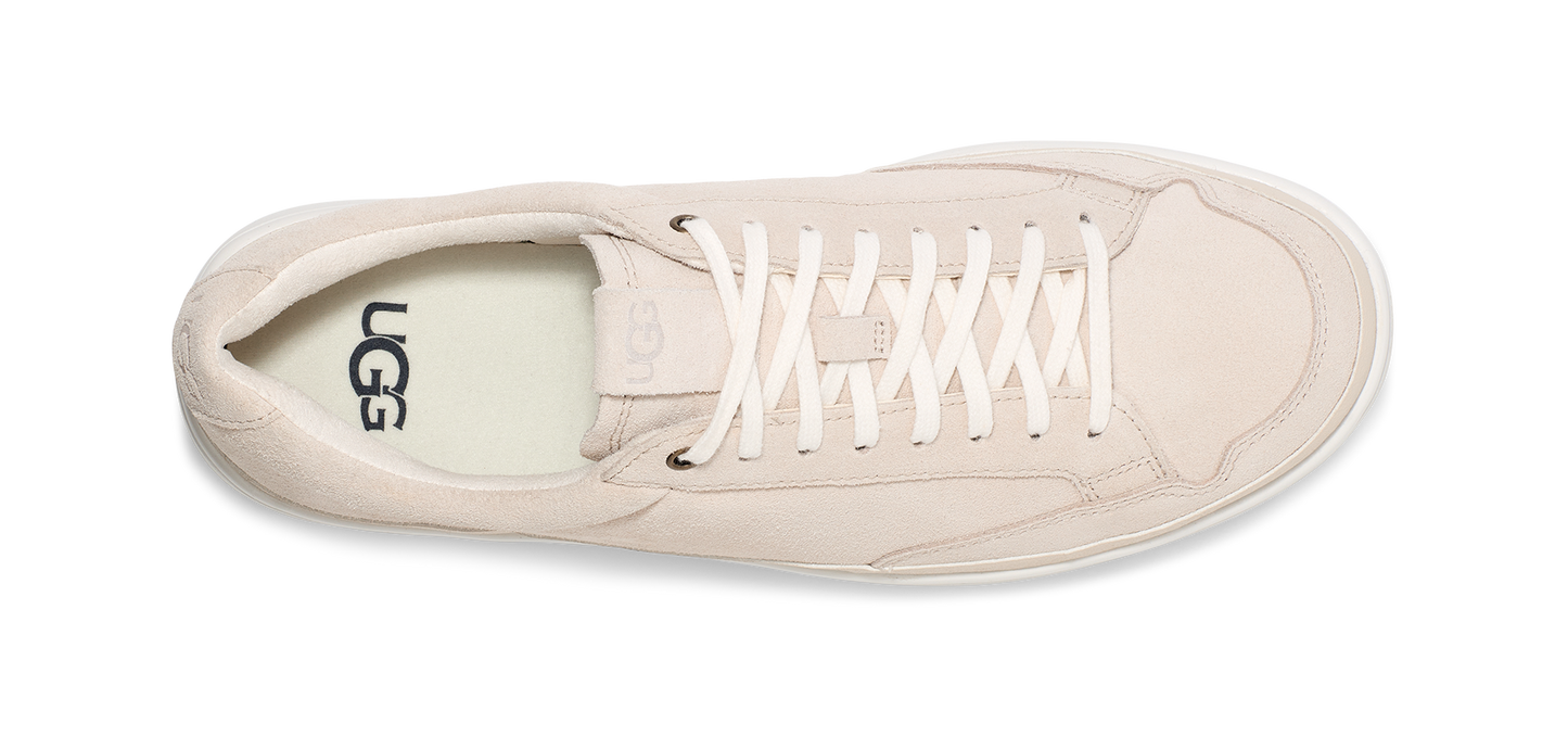 A top-down shot of a beige UGG sneaker with white laces.
