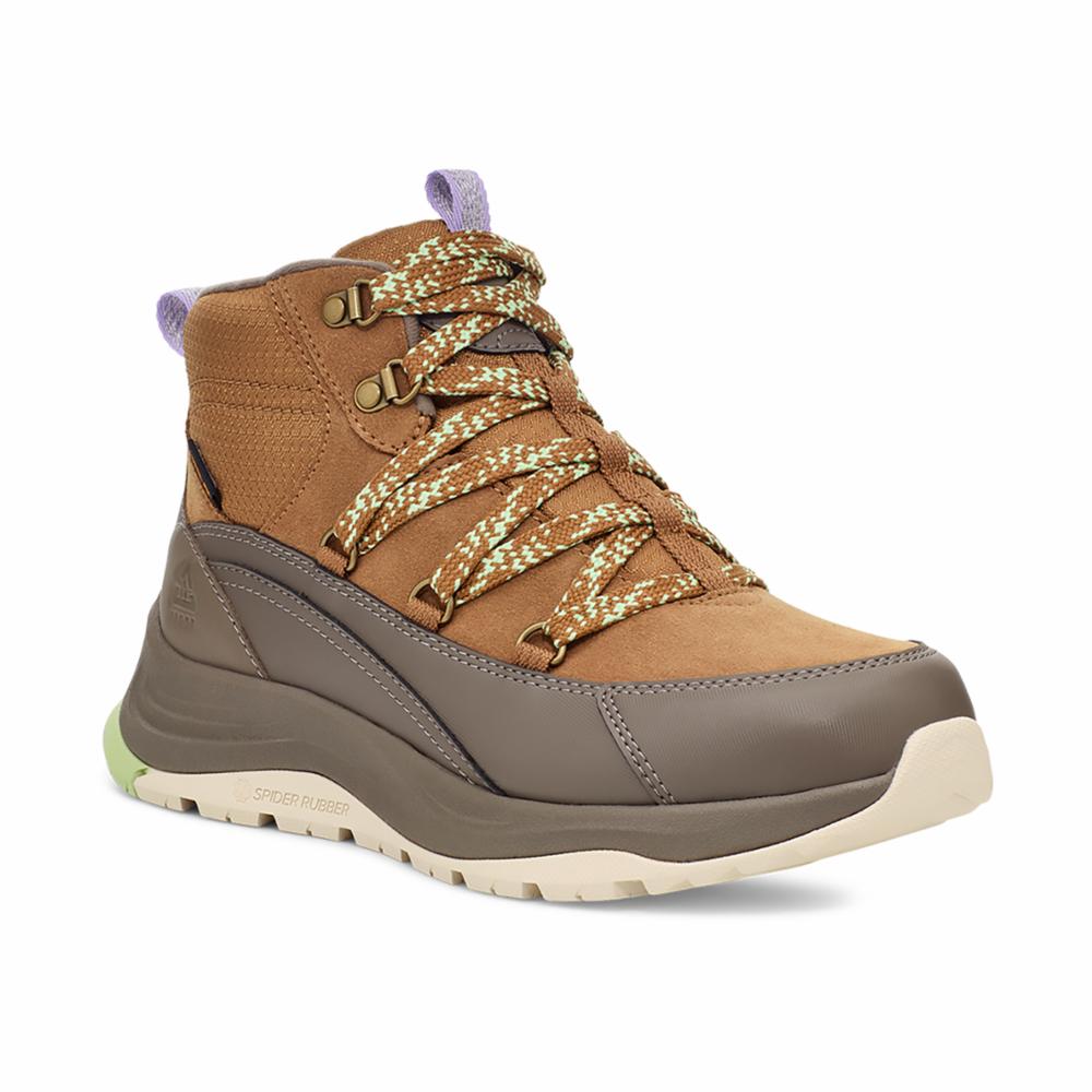 Tan-brown hiking boot with a purple heel pull tab, patterned laces, and grey sole.