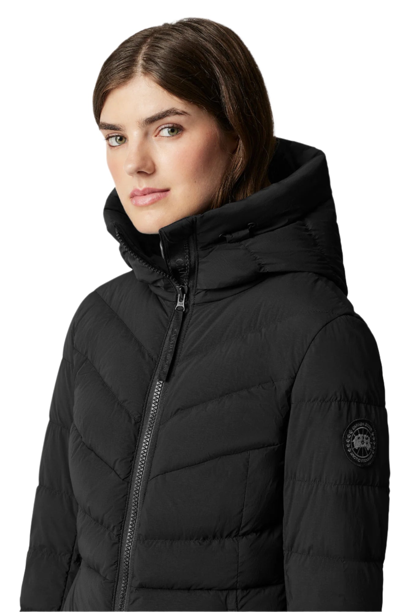 Black down-filled parka with a hood.