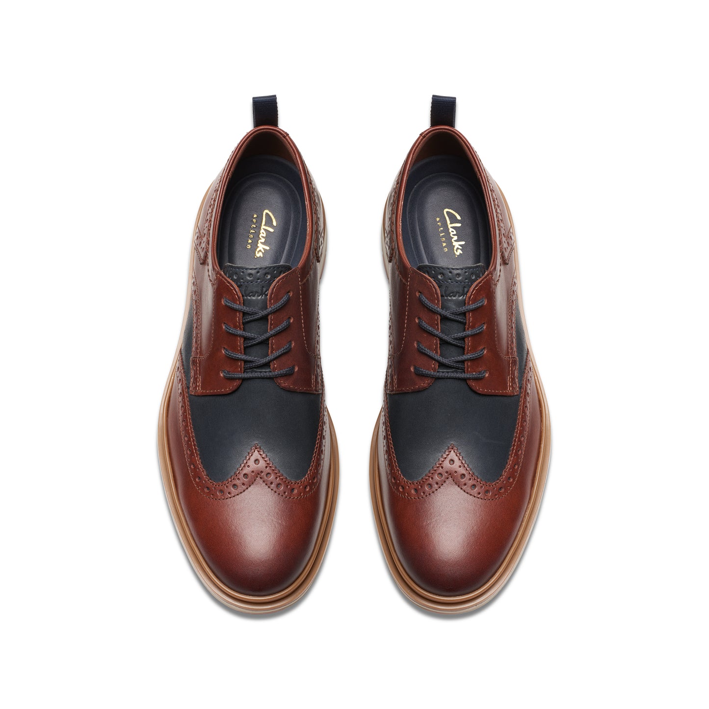 Top view of two leather dress shoes with wingtip brogue details; dark blue and dark brown.