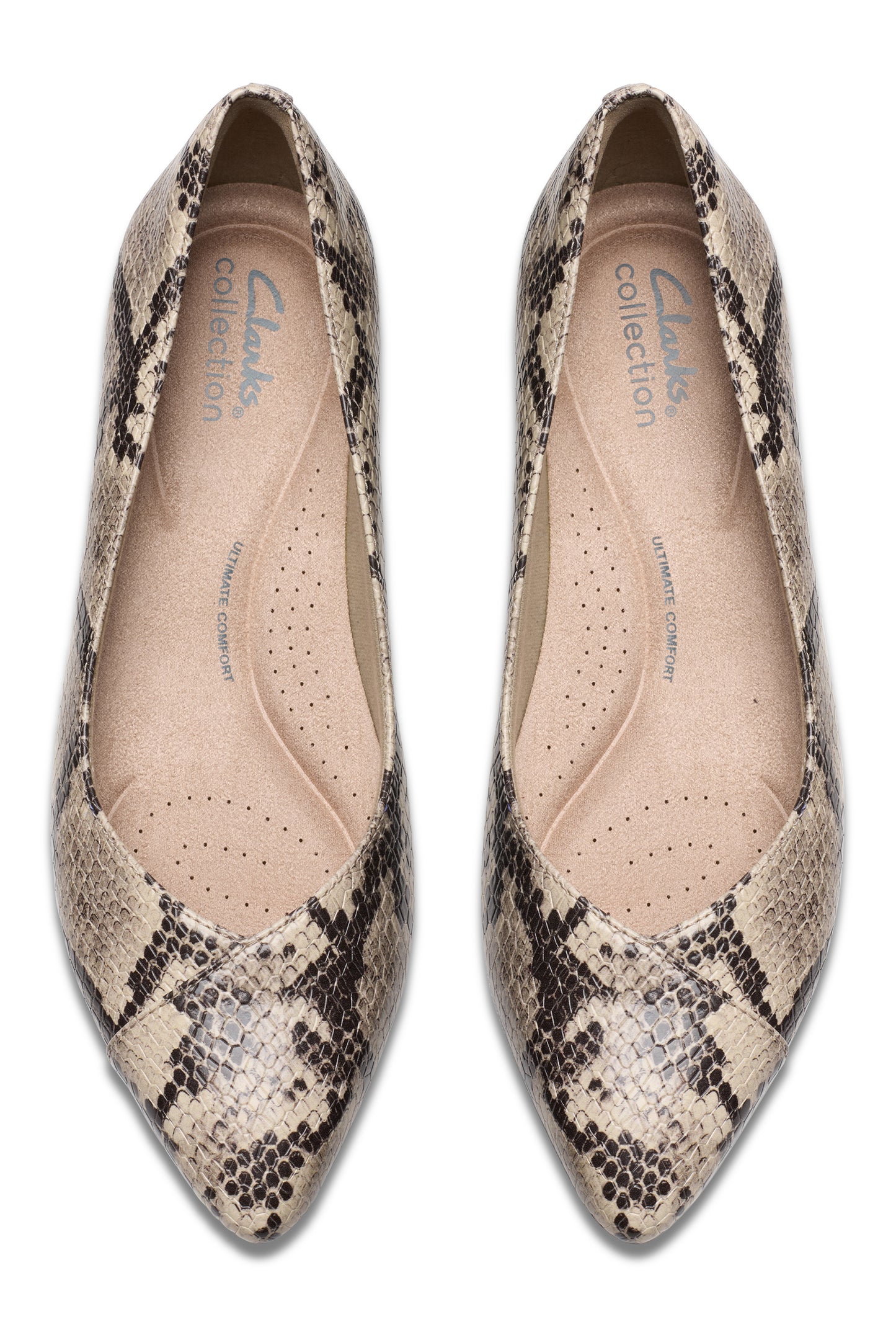 Overhead view of a pair of pointed-toe snake print flats.
