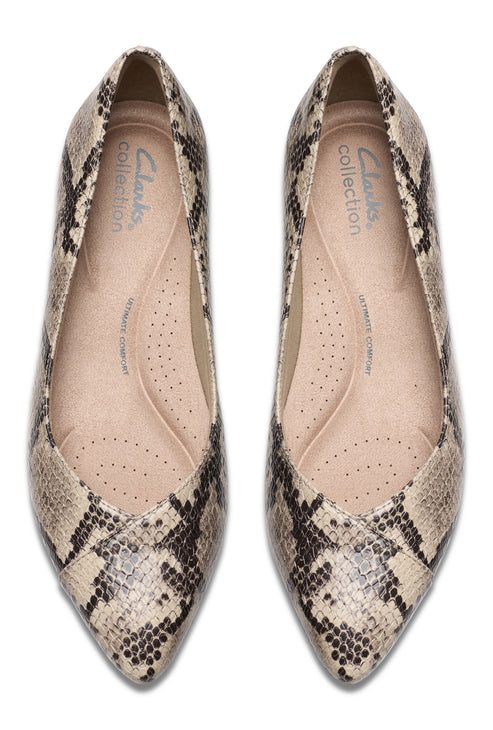 Overhead view of a pair of pointed-toe snake print flats.