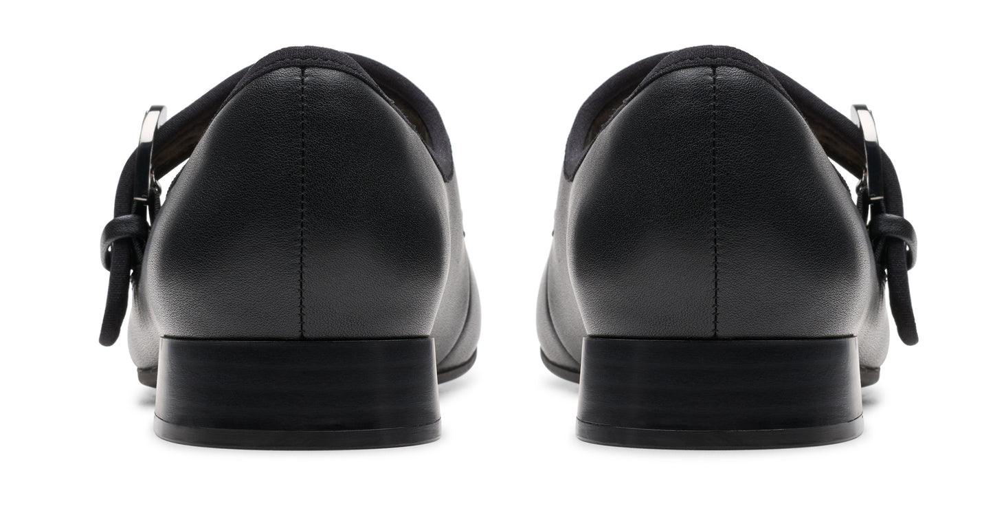 Pair of black Mary Jane shoes with block heels and buckled straps.