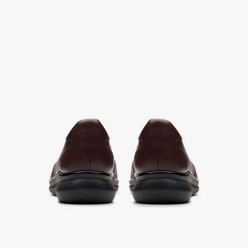 Pair of dark brown women's dress shoes, rear view.