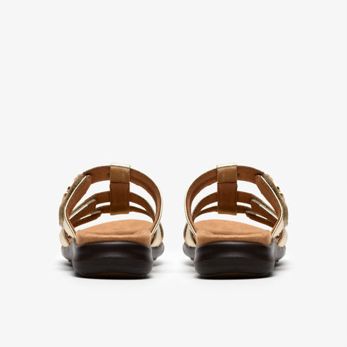 Pair of gold, multi-strap sandals viewed from the back.