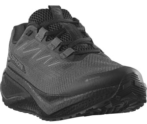 A dark gray trail running shoe with a GORE-TEX logo.