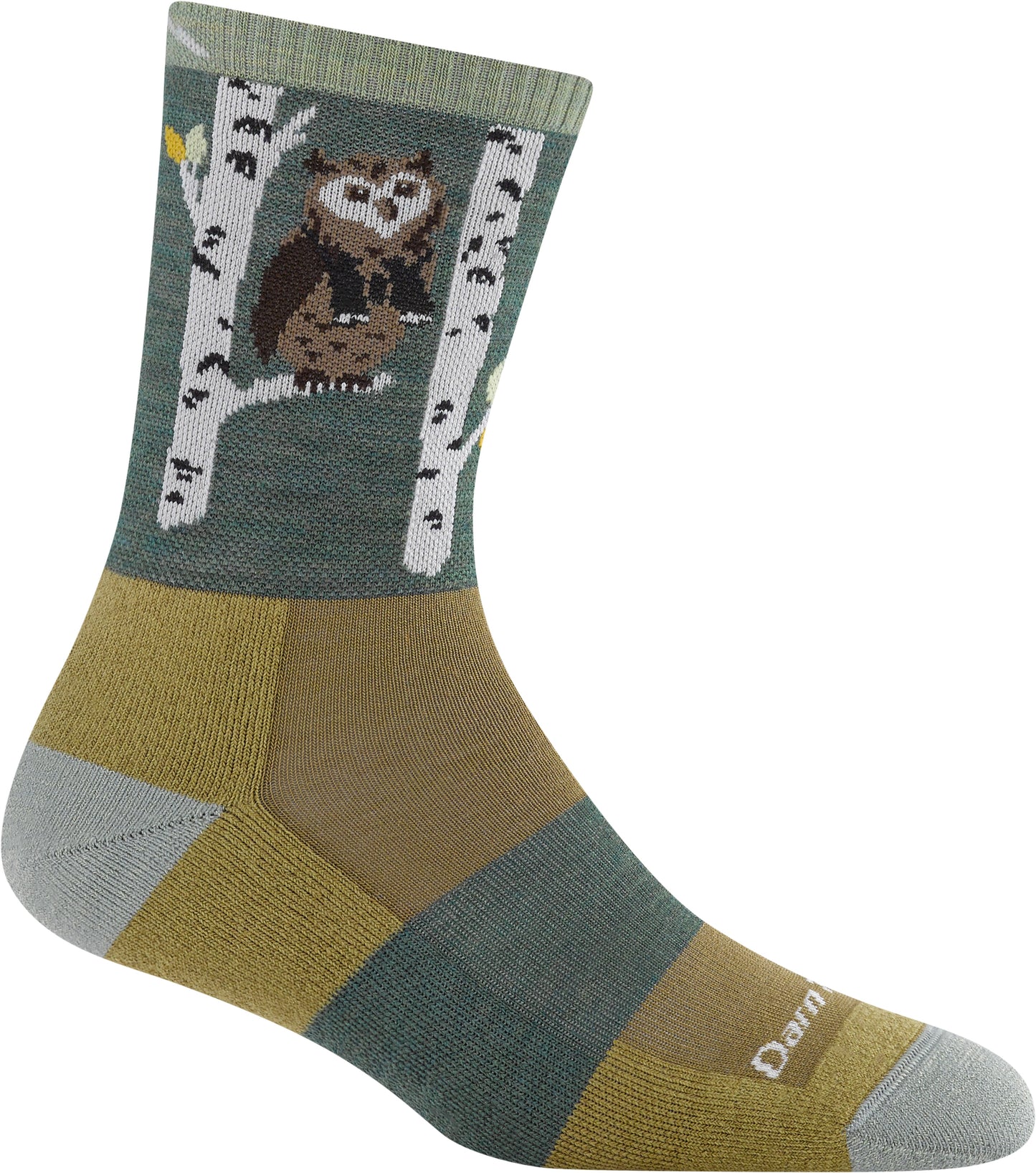 A sock that has an owl sitting on birch tree branches and the sock itself is sectioned off into different color patterns.