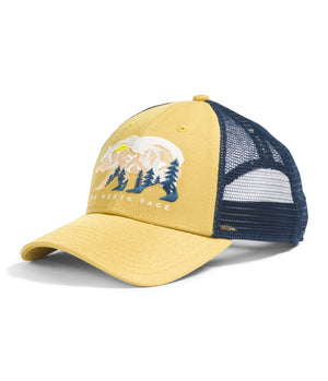 Yellow and dark blue cap with a bear and tree design.