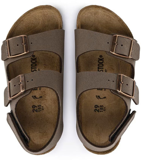 Pair of brown sandals with two adjustable buckle straps.