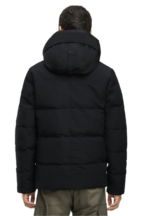 Back view of a black, puffy hooded jacket worn by a person.