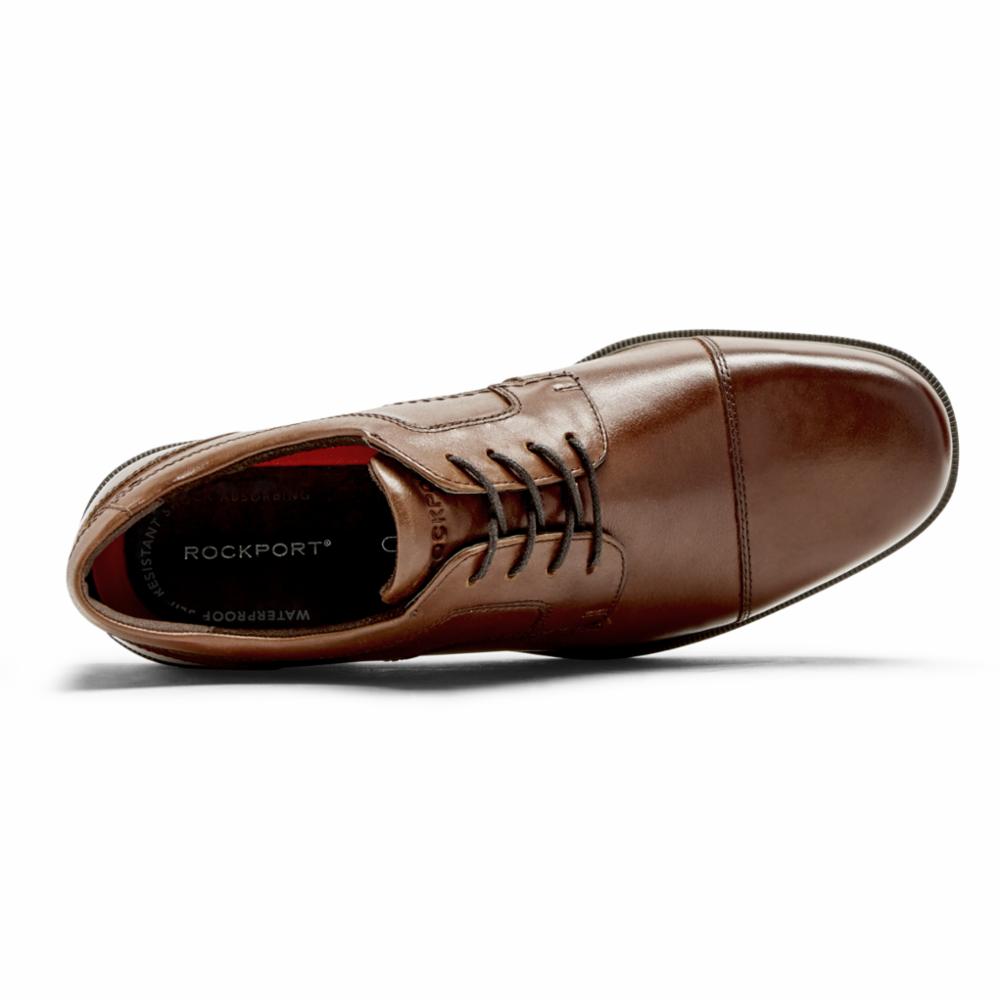 Brown leather cap-toe dress shoe, laces, visible insole.