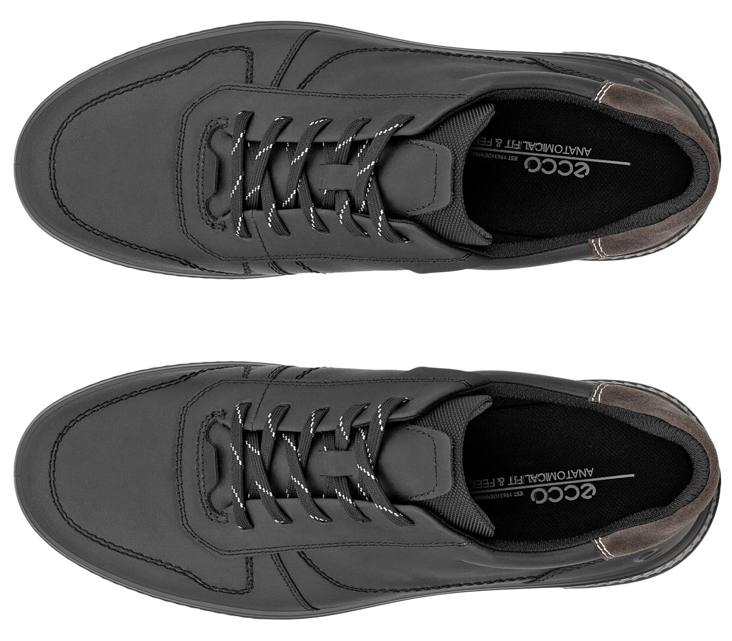 A pair of dark grey leather casual sneakers viewed from directly above, showing lace-up closures and branded insoles that read ECCO Anatomical Fit & Feel.