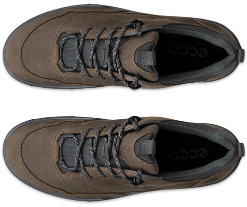A top-down view of two brown leather lace-up sneakers, side by side, featuring dark gray mesh tongues, dark gray laces with a toggle adjustment, and the text 'ecco' visible on the insole.