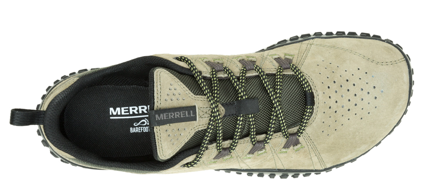 top-down view of a beige athletic shoe with bungee laces