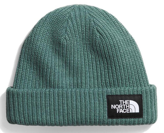 Knit beanie in green with a folded brim and square black patch with the text 'THE NORTH FACE' and a white half-dome logo