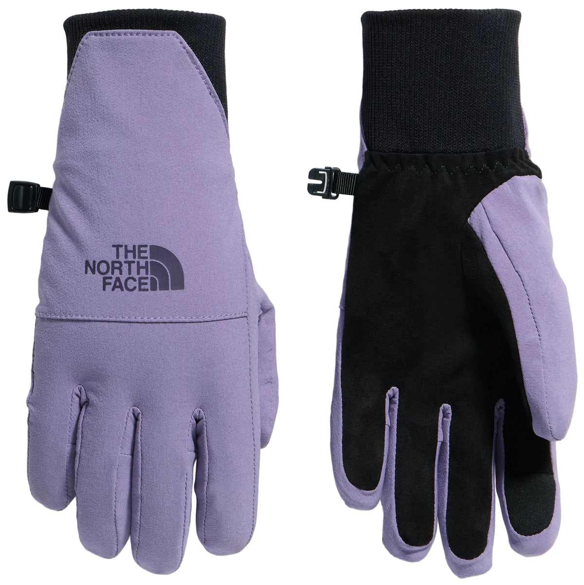 A pair of purple and black winter gloves, showing the back of the left glove featuring the text THE NORTH FACE and the palm side of the right glove featuring a black grip surface.