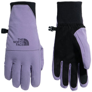 A pair of purple and black winter gloves, showing the back of the left glove featuring the text THE NORTH FACE and the palm side of the right glove featuring a black grip surface.