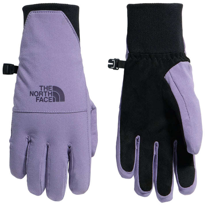 A pair of purple and black winter gloves, showing the back of the left glove featuring the text THE NORTH FACE and the palm side of the right glove featuring a black grip surface.