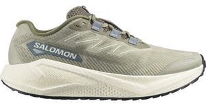 A running shoe with a green mesh upper, white midsole, and black outsole. "SALOMON" is printed on the side.