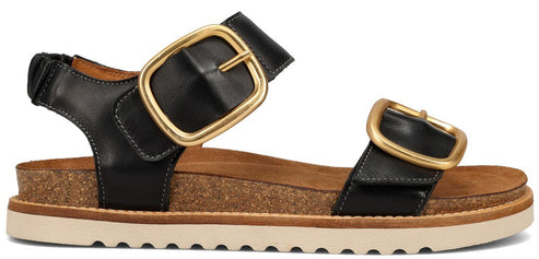 Black sandal with gold-colored buckles.