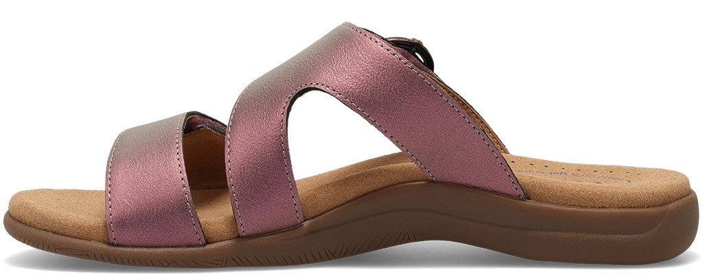 A sandal with two straps, a buckled upper, and a brown sole.