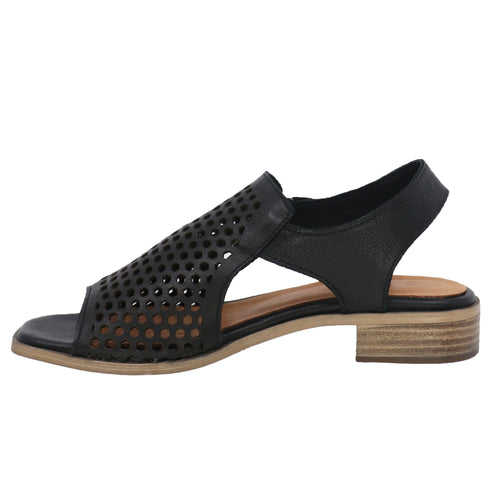 Black sandal with perforated design and low block heel.