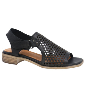 Black leather sandal with a low block heel and a perforated upper.