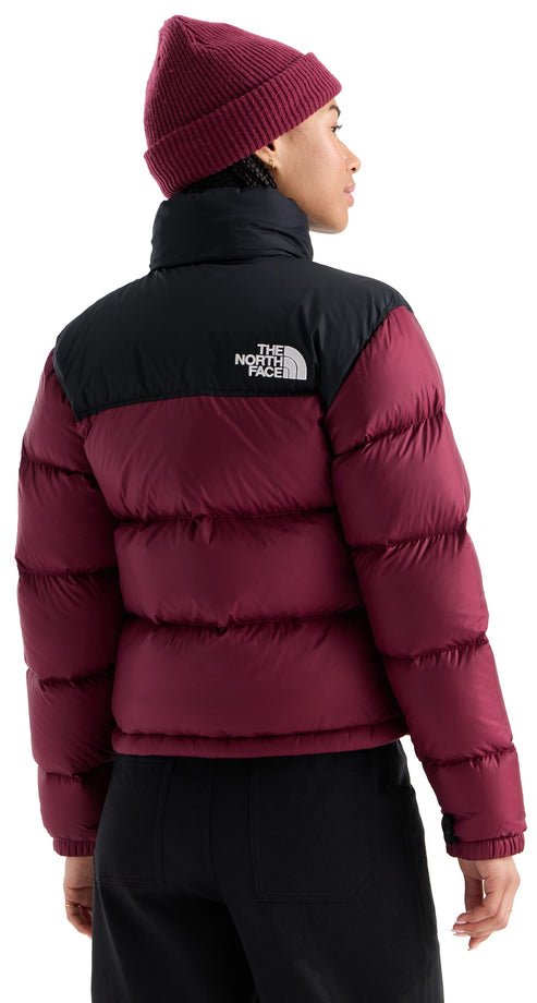 A back view of a person wearing a maroon and black puffer jacket with a black knit beanie, featuring the text "THE NORTH FACE" in white on the upper black portion of the jacket.