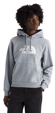 Women's Evolution Half Dome Regular Hoodie TNF Pale Grey Heather