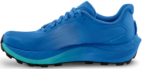 A blue athletic shoe.