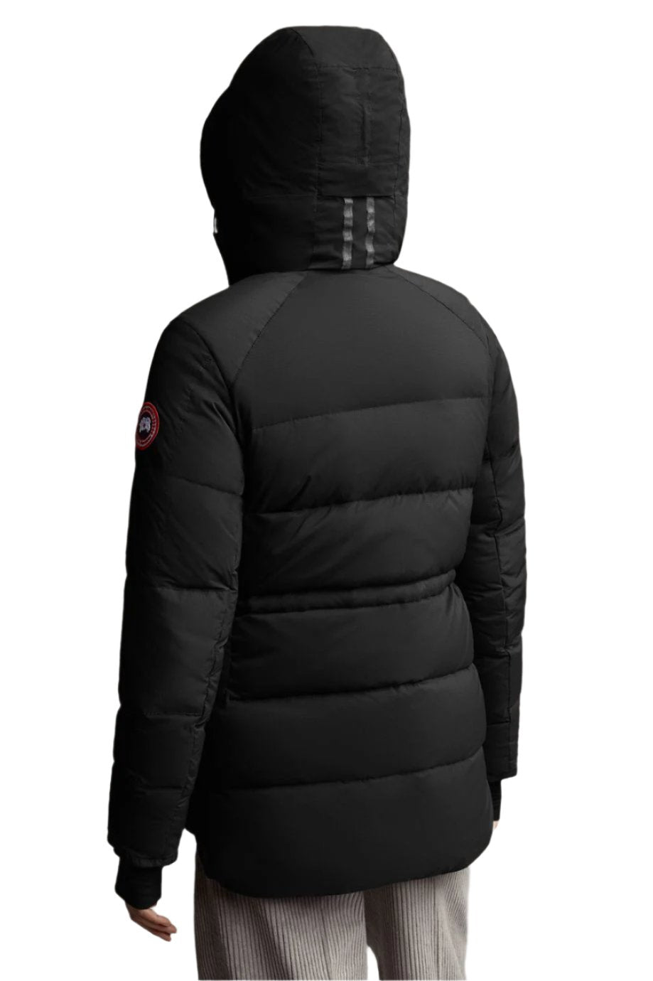 Alliston Down Jacket Black – Quarks Shoes