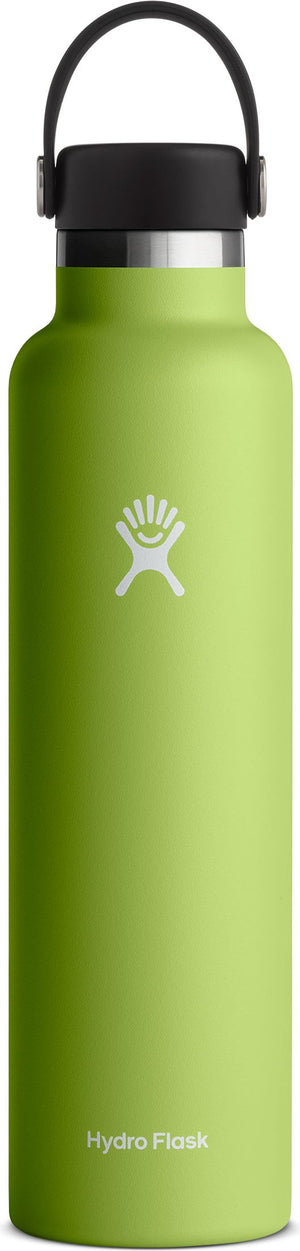 Green water bottle with black cap and handle.