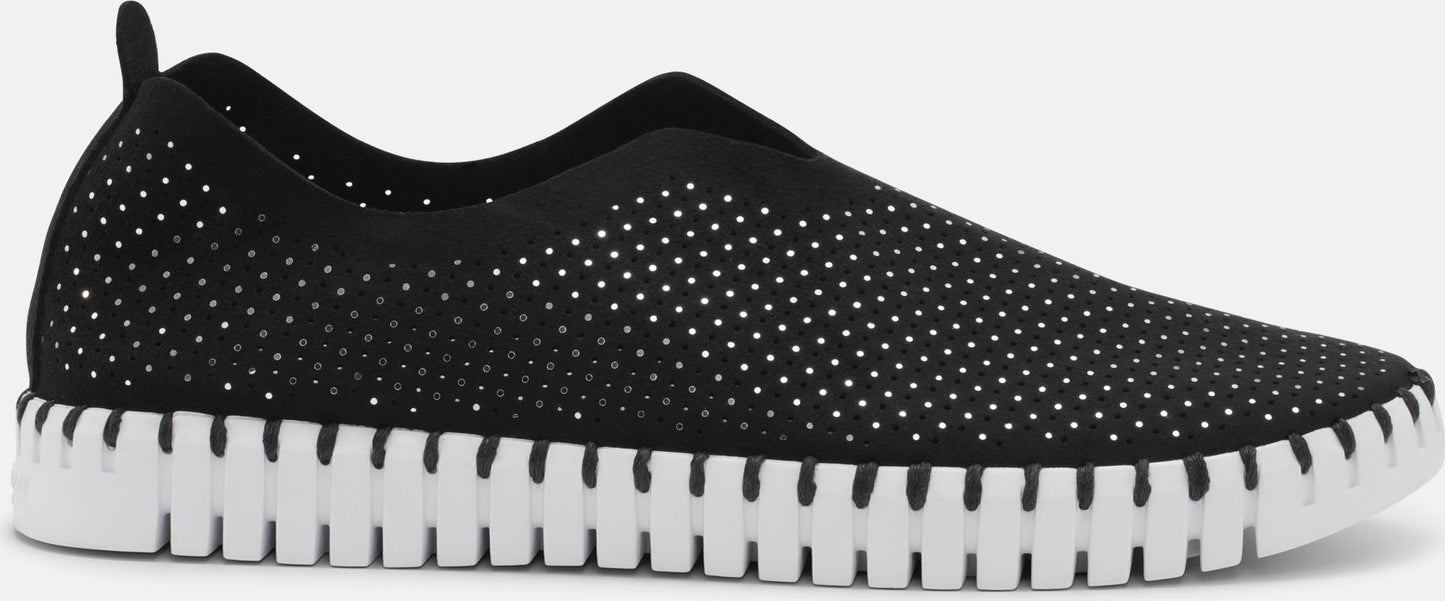 Tulip147 Black â Quarks Shoes