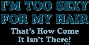 Text graphic with the phrases: "I'm too sexy for my hair," and, "That's How Come It Isn't There!"