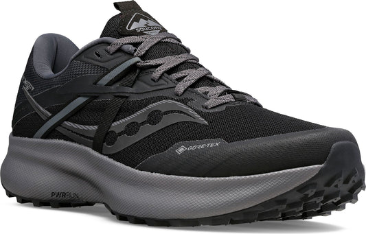 Black trail running shoe with gray laces and sole, and GORE-TEX text.