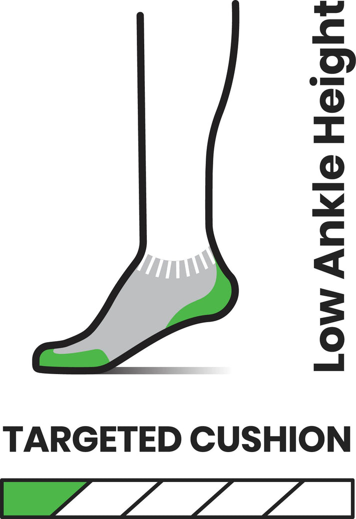 Smartwool Apparel Women's Run Targeted Cushion Stripe Low Ankle Mist Blue