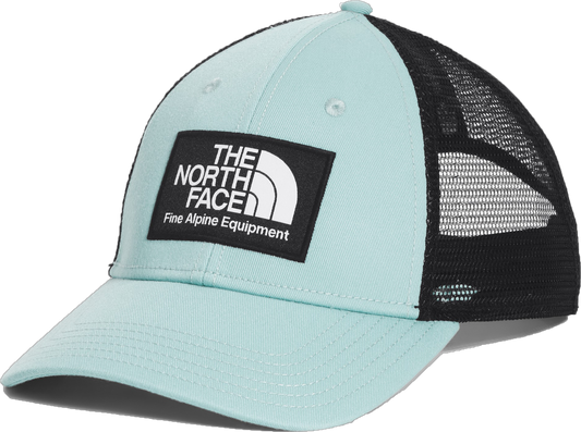 Light blue cap with a black mesh back and a rectangular logo patch that reads 'The North Face Fine Alpine Equipment'.