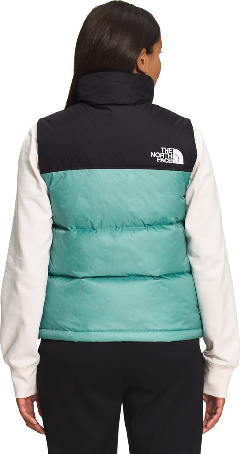 Person wearing a two-tone vest, black on top, teal on the bottom with The North Face logo on the right shoulder.